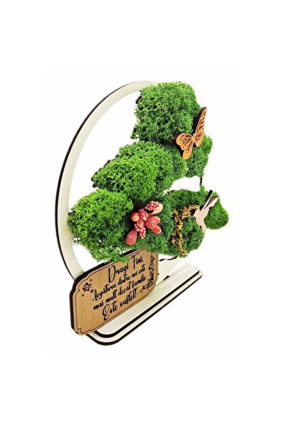 OEM Decorative Picture - Bonsai with Stabilized Lichens and Message, 15 cm, White