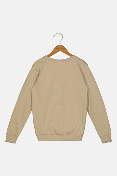 PEANUTS Kids Boy Crew Neck Long Sleeve Graphic Print Sweatshirt, Beige