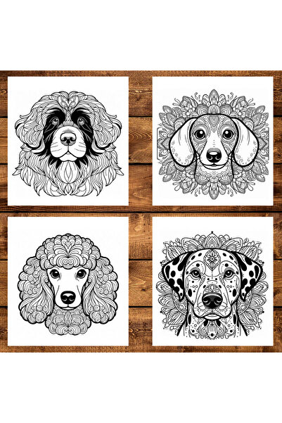 Legendary Gifts Painting book, 50 illustrations by Catei Mandala - Volume IV