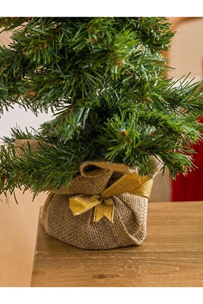 LC Waikiki Διακοσμητικό Πεύκο 60 εκ. (Π5)