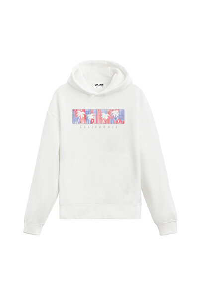 Colermi هودي كاليفورنيا بالم مطبوع