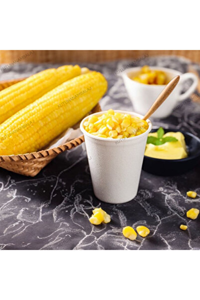 Termokap Kullan At Köpük Bardak 8 oz 250cc 40 Adet