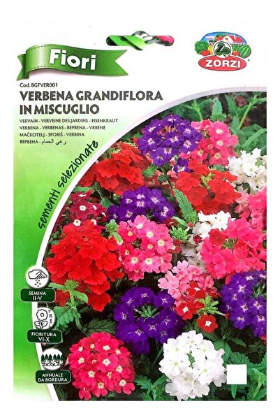 Zorzy Giant Cosmos Flower Seeds (Color Mix)
