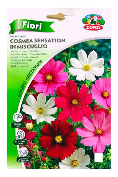 ZORZI بذور كوزموس من اليابان