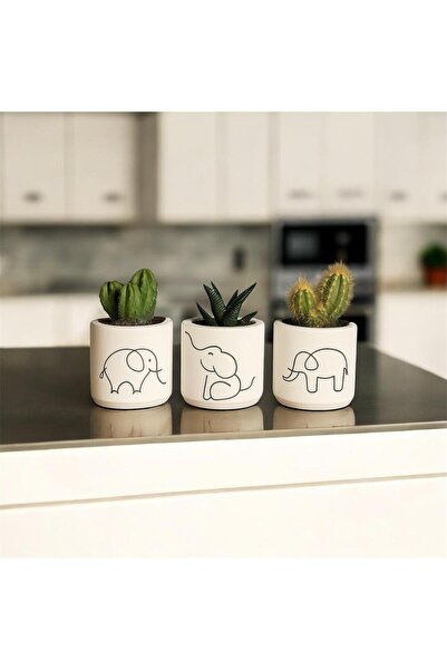 FK DESİGN Fil Desenli Beton Saksı Üçlü Set- Küçük Boy Sukulent Saksısı Çizim
