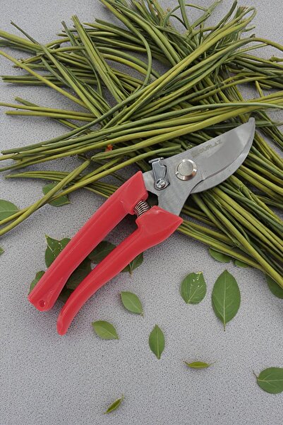 SürLaz Pruning Shears Vineyard Garden Citrus Fruit Tree Pruning