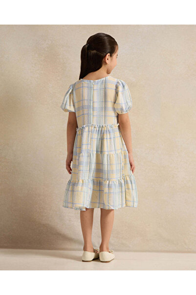 REDTAG Girls Blue And White Checkered Tired Dress