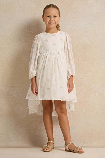 REDTAG Girls Butterfly Embroidery Chiffon Dress