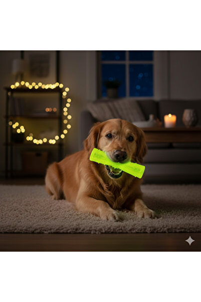 Tasma Market Glow-In-The-Dark Dog Play Stick – 18X4.5 cm Durable and Light-Up Dog Toy