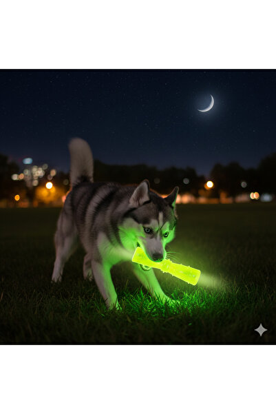 Tasma Market Glow-In-The-Dark Dog Play Stick – 18X4.5 cm Durable and Light-Up Dog Toy