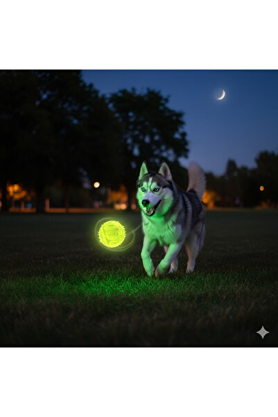 Tasma Market Light-Up Dog Toy Set – Glow-In-The-Dark Play Ball and Durable Play Stick (Set of 2)