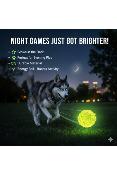 Tasma Market Phosphorescent Dog Play Ball – 7.3 cm Durable, Bouncing and Glow-In-The-Dark Toy Ball