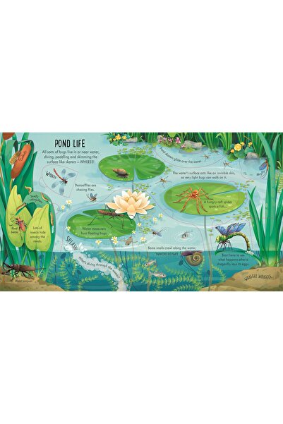 Usborne Look Inside Bug World