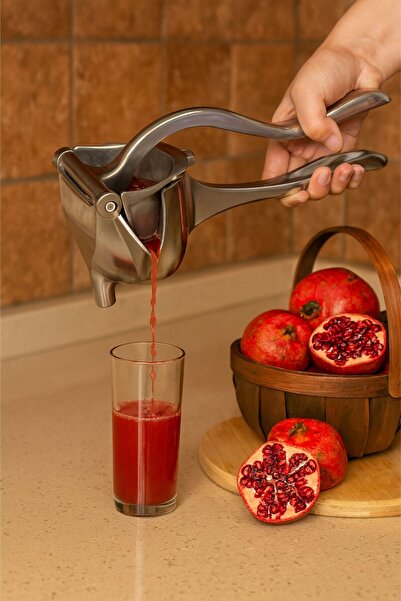 CasaPetra Fruit and Vegetable Juicer Stainless Steel Manual