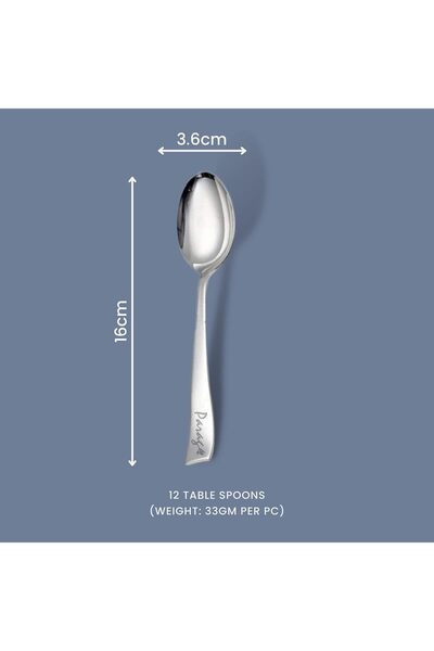 007 Paraj 12-Piece Stainless Steel Table Spoons, 16.5 cm, Polished Silver