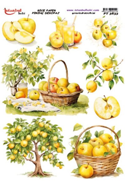 İstanbul Hobi Rice Decopage Paper 30X42Cm Pt-3833 Apple