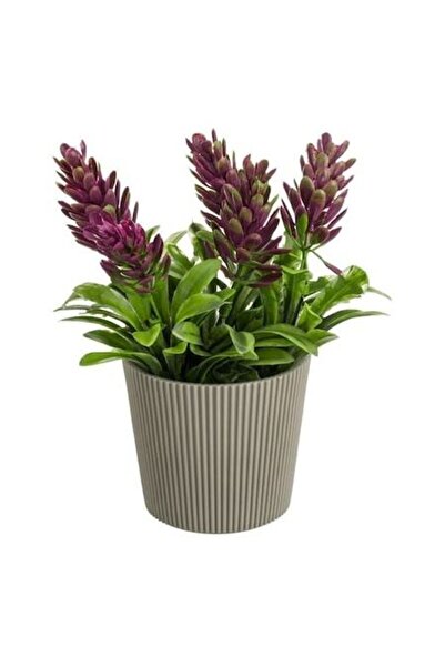 ANTBRO Ghiveci Decorativ Taupe Ø 6 × 14 cm ANTBRO® – Vas Compact cu Planta Artificiala Roz, Ideal pent