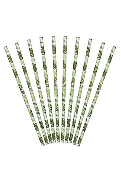 ANTBRO Set de 20 de paie de carton Antbro, Ø6x194 mm, frunze tropicale alb-ve...