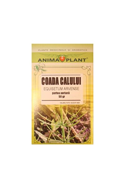 Anima Plant Coada-calului (Equisetum arvense), partea aeriană, zdrobită, pent...