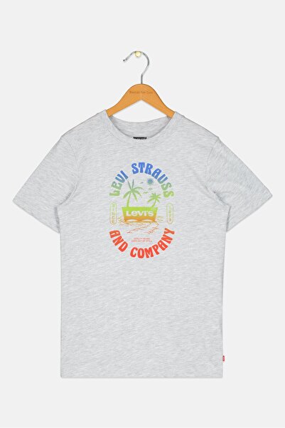 Levi's Kids Boy Short Sleeve Graphic Print T-Shirt, Grey