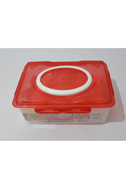 renkli çiçekler 24-Piece Egg Storage Container Egg Box with Lid Plastic Egg Holder