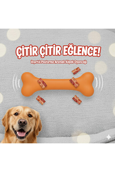 Tasma Market Büyük Irklar İçin 2’li Köpek Oyuncak Seti – Sığır Aromalı ve Turuncu Hışırtılı Kemik