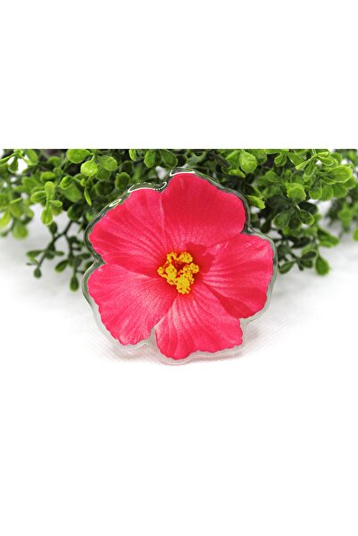 Tezcan Aksesuar Büyük Model Popsocket Telefon Tutucular