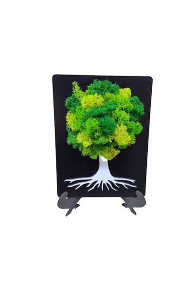 T&M Personalizare Tablou din lemn (21x15 cm) - Copac, trunchi v5, decorat cu ...