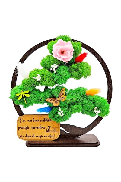 OEM Decorative Picture - Bonsai with Stabilized Moss and Decorative Accents - For Accountant (Wenge, 20c