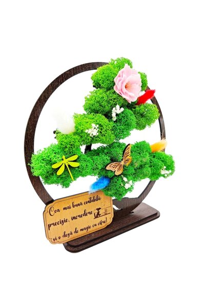 OEM Decorative Picture - Bonsai with Stabilized Moss and Decorative Accents - For Accountant (Wenge, 20c
