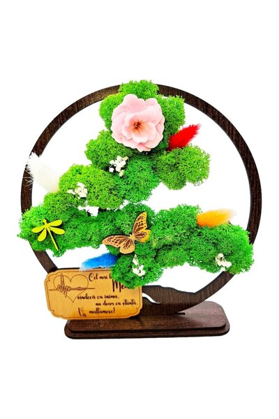 OEM Decorative Picture - Bonsai with Stabilized Moss, Message 'Best Doctor', Wenge 20cm