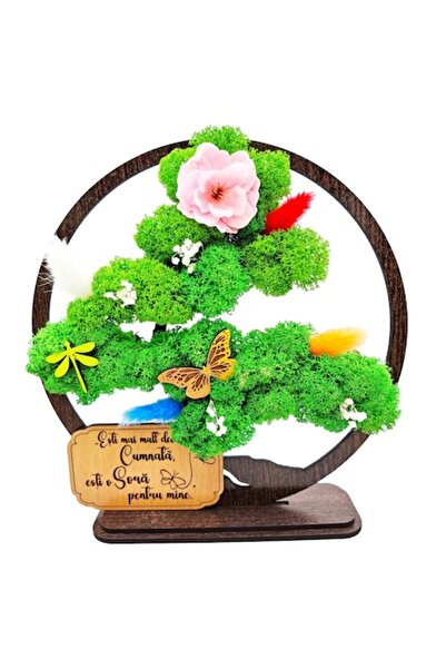 OEM Decorative Frame - Bonsai with Stabilized Lichens - Message for Sister-in-law, Wenge, 20cm