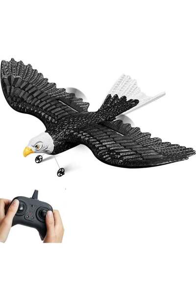 TOY GARDEN RC Glider Eagle Plane Toy for Kids – Remote Control Foam Aircraft
