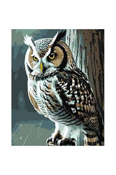 qbee Pictură pe numere - Bufniță înțeleaptă 40x50 cm