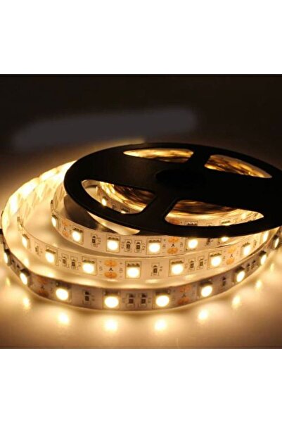 LED LEVEL Mutfak Tezgah Üstü Için 3 Metre Gün Işığı Şerit Led12v Adaptör Tak ...