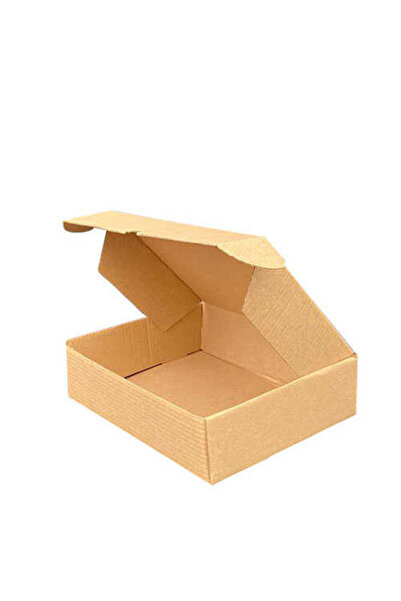 koliciabla Kargo Kutusu 16x13x10 cm | Dayanıklı Gönderi Kutusu