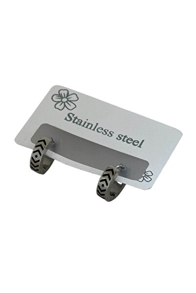 TAKIŞTIR Silver Color Men's Steel Earrings (Pair)