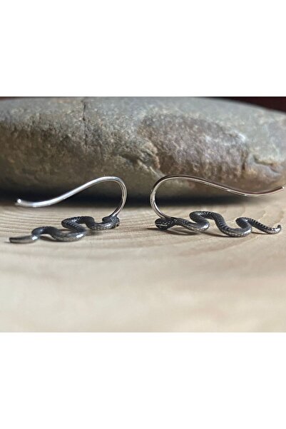Viking Snake Design S+ Non-Tarnish Stainless Steel Earrings Steel Pair
