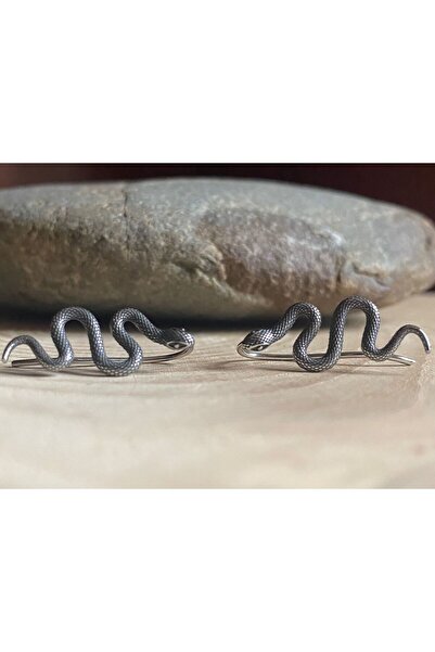Viking Snake Design S+ Non-Tarnish Stainless Steel Earrings Steel Pair