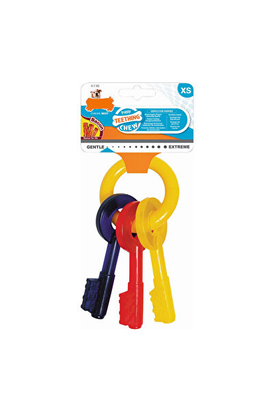 Nylabone Jucărie de ros pentru câini Keys Bacon, mărimea S, nailon termoplastic, căței