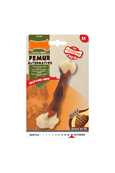 Nylabone Jucărie de mestecat pentru câini Extreme Chew Femur Veal Mărime XL Nylon Beef