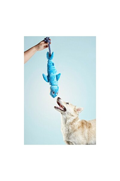 Gloria Jucărie pentru câini Clint Shark