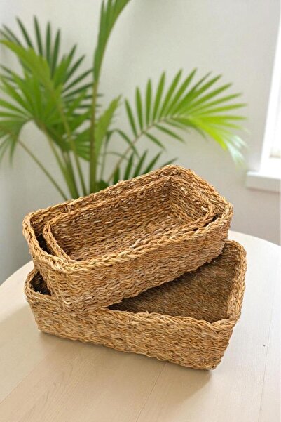Digithome 3-Piece Natural Rectangular Organizer Basket -Pnl-Ph31 S/3