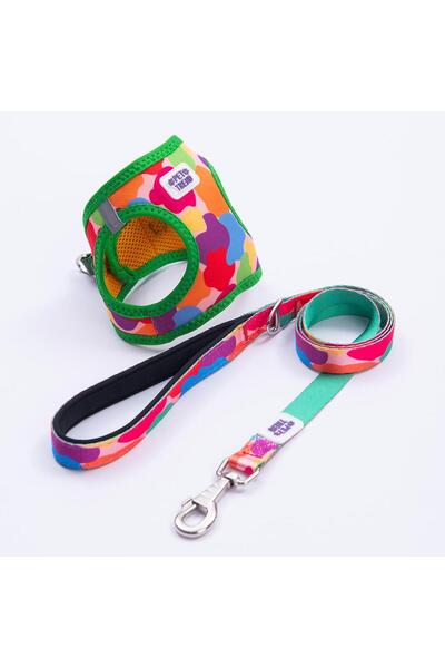 Pettrend Rainbow Crew Göğüs Tasması ve Sevk Kayışı Tasma Seti Renkli Kedi Köpek Göğüs Tasması Seti