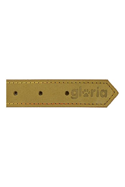 Gloria Zgardă pentru câini Oasis Green (55 x 2,5 cm)