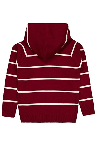 Civil Boys سترة مخططة منقوشة للأعمار من 10 إلى 13 سنة - أحمر كلاريت للأعمار من 12 إلى 13 سنة