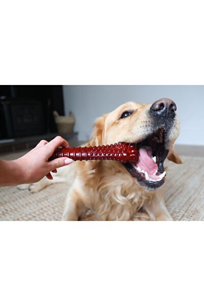 Nylabone Bacon Maro Os XL