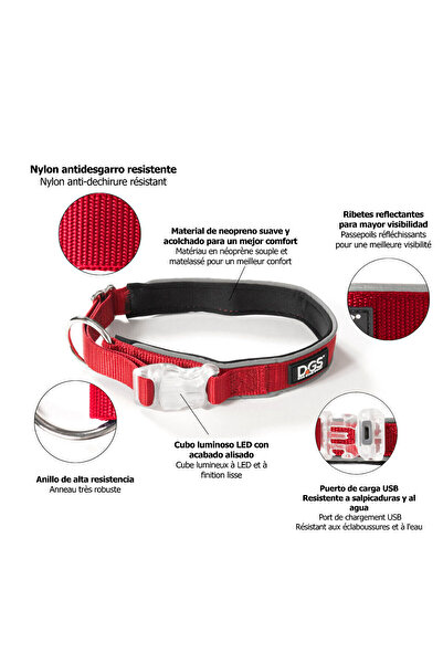 Dog Gone Smart Dog collar Red L Light