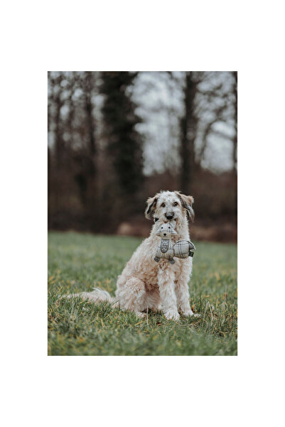 Hunter Jucărie de pluș pentru câini, bej, vulpe 100% reciclată