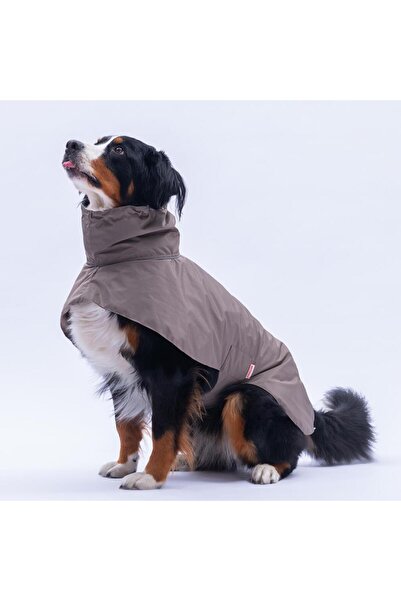 Pawstar Brown Colombia Prime Dog Raincoat for Medium and Large Breeds Dog Clothing Waterproof Rain